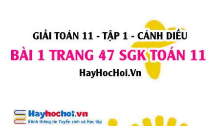 Giải bài 1 trang 47 Toán 11 tập 1 SGK Cánh Diều